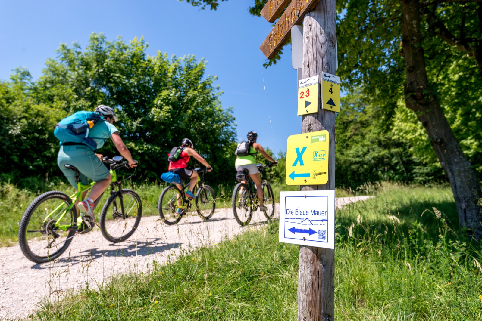 Cyclists passing an Alb-Crossing route sign beside meadow orchards